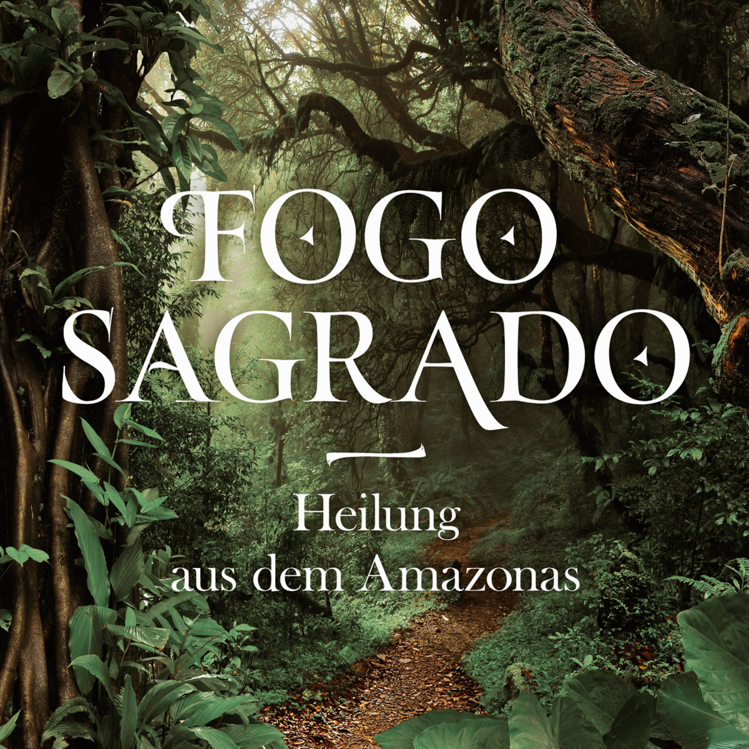 Fogo Sagrado healing from the Amazon